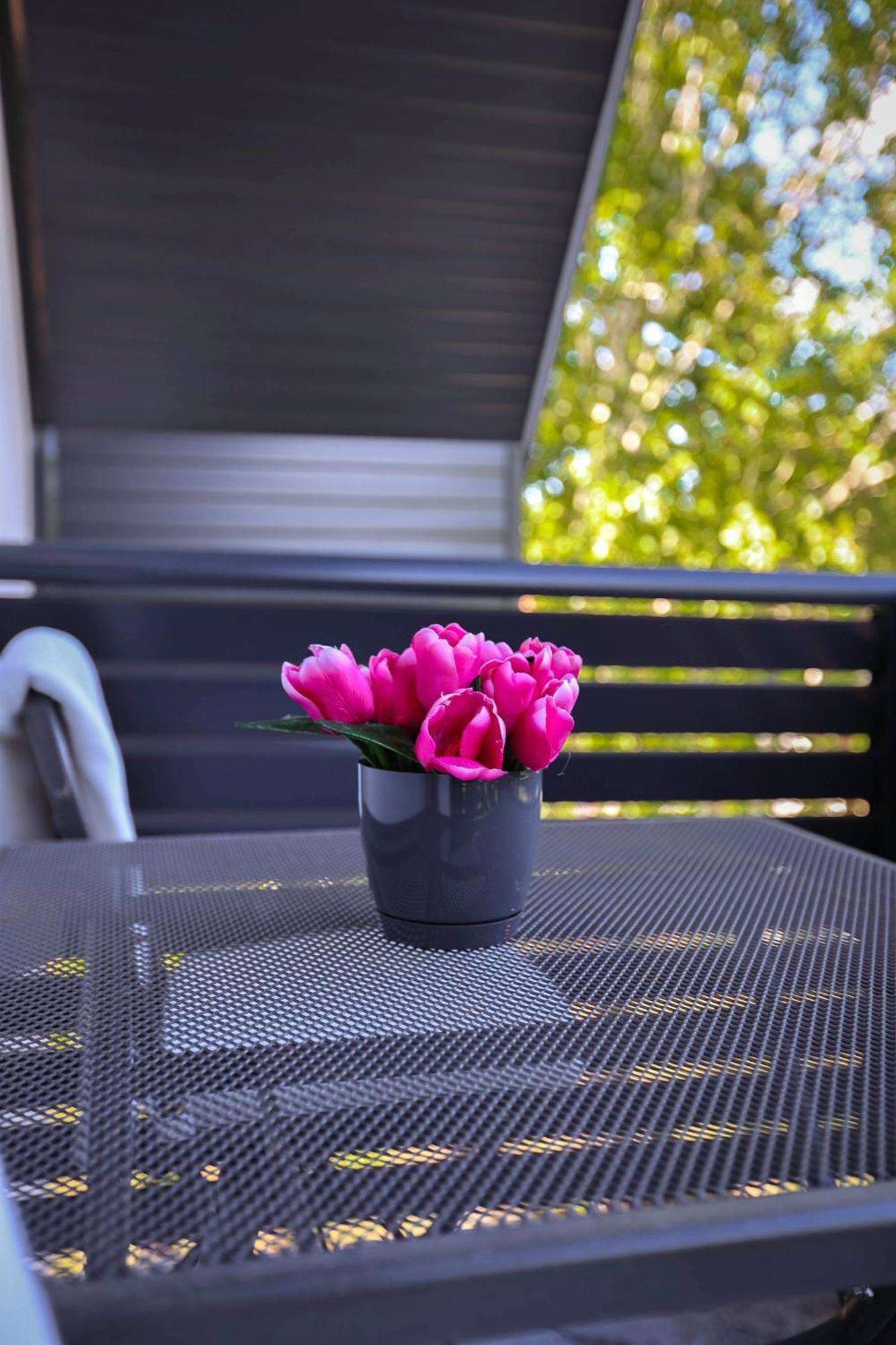 Apartman Babic Bihać Εξωτερικό φωτογραφία
