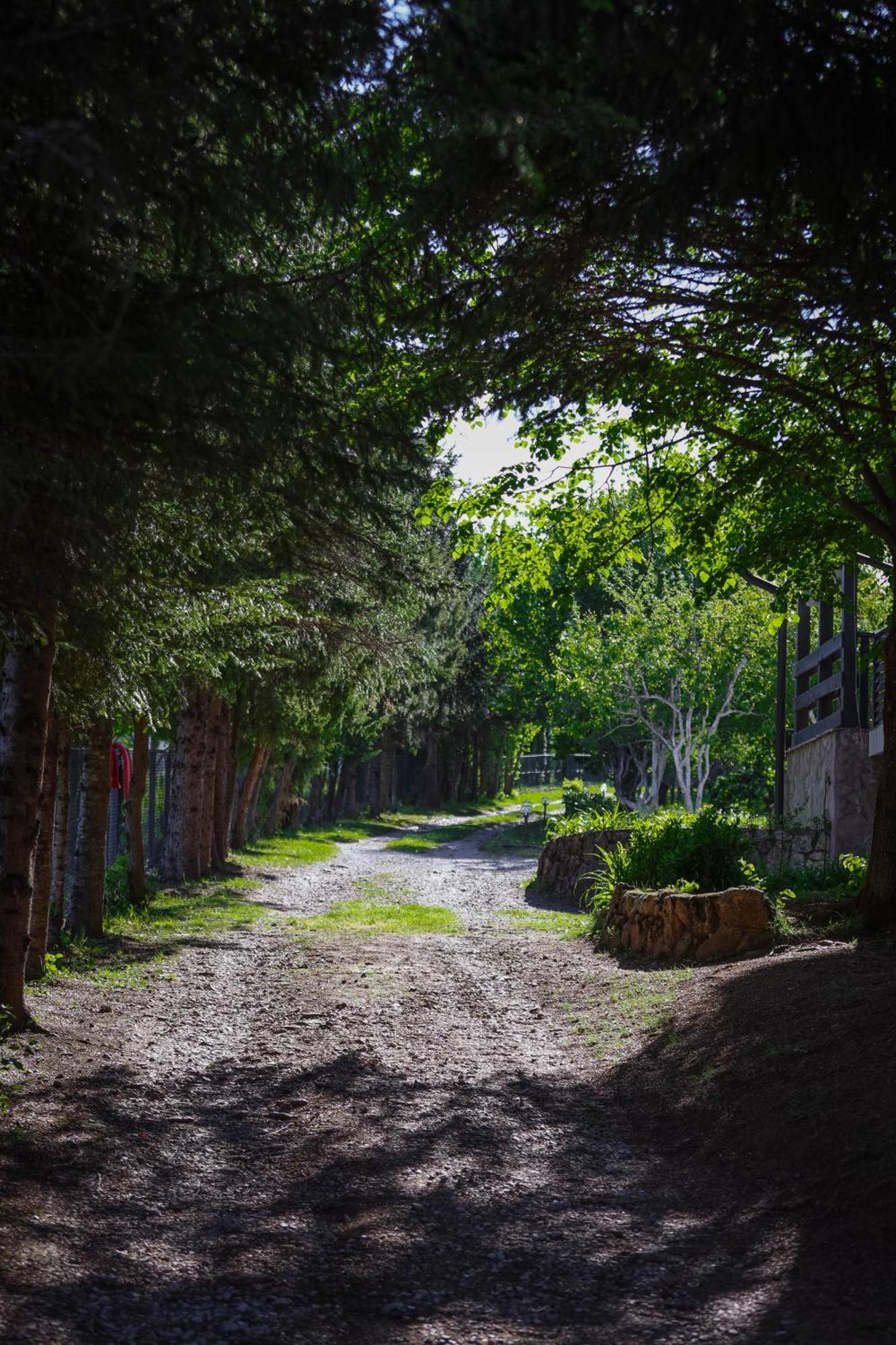 Apartman Babic Bihać Εξωτερικό φωτογραφία